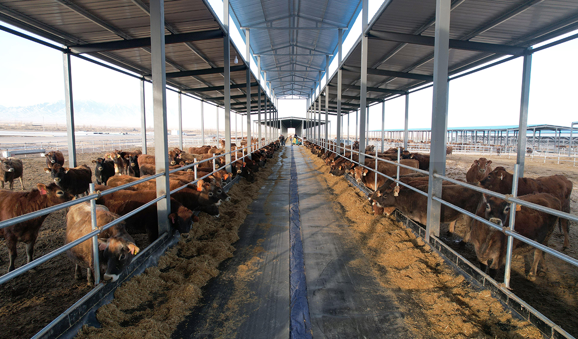 養(yǎng)殖動(dòng)物類(lèi)糞污